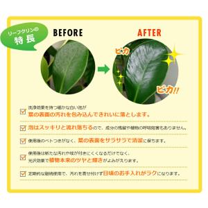 住友化学園芸 葉面洗浄剤 リーフクリン 業務用...の詳細画像2