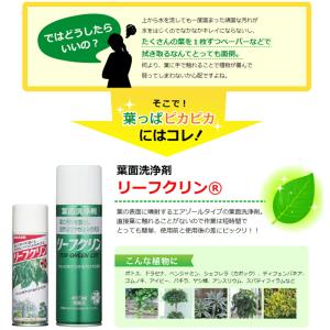 住友化学園芸 葉面洗浄剤 リーフクリン 業務用...の詳細画像3