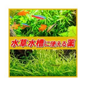 動物用医薬品 観賞魚用魚病薬 ニチドウ グリー...の詳細画像4