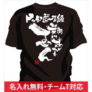 チーム割引あり チームTシャツ ドッジボール 翔けあがれ