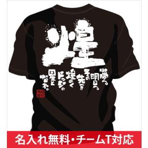 チーム割引あり チームTシャツ ドッジボール 煌
