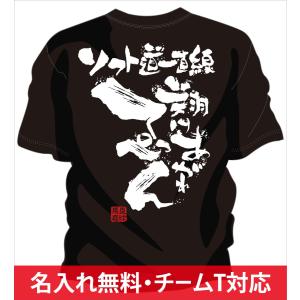 ソフトボール Tシャツ 文字の商品一覧 通販 Yahoo ショッピング