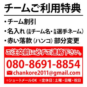 チーム割あり ソフトボール 長袖 長袖tシャツ...の詳細画像1