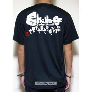 チーム割あり ソフトボール 練習着 tシャツ ...の詳細画像3
