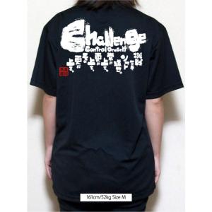 チーム割あり ソフトボール 練習着 tシャツ ...の詳細画像4