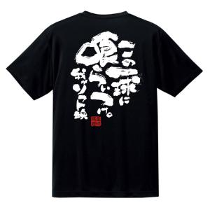 チーム割あり ソフトボール 練習着 tシャツ 部活 チーム ドライ 半袖 ジュニア キッズ 子供 保護者 文字 名言 格言 面白い おもしろ かっこいい オーダー