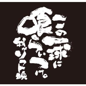 チーム割あり ソフトボール 練習着 tシャツ ...の詳細画像2