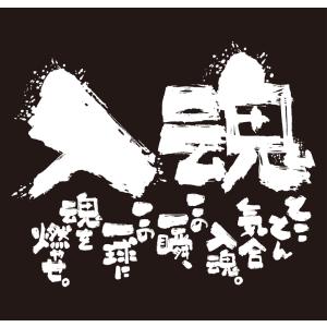 チーム割あり ソフトボール 練習着 tシャツ ...の詳細画像2