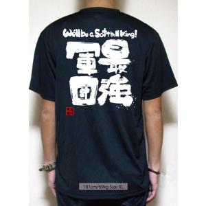 チーム割あり ソフトボール 練習着 tシャツ ...の詳細画像3