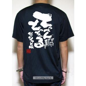 チーム割あり ソフトボール 練習着 tシャツ ...の詳細画像3