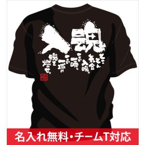 チーム割引あり 部活Tシャツ ソフトボールやチームTシャツ