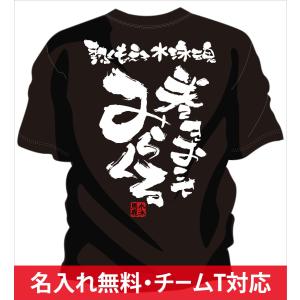 チーム割引あり 部活Tシャツ 水泳やチームTシャツ 水泳にオススメ 水泳文字Tシャツ みらくる｜chankoreproduction