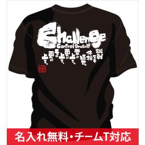 チーム割引あり 部活Tシャツ 体操 挑戦