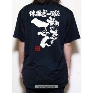 体操 Tシャツ 体操 練習着 チーム 部活 ジ...の詳細画像2