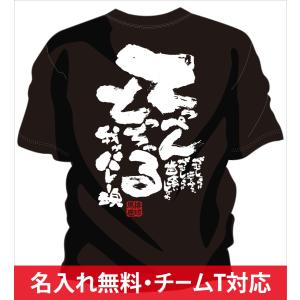 バレーボール 練習着 バレーボール Tシャツ バレー 練習着 バレー Tシャツ チーム 部活 ジュニア キッズ 対応 メッセージ 文字入り 名言 格言 おもしろ 面白い｜chankoreproduction