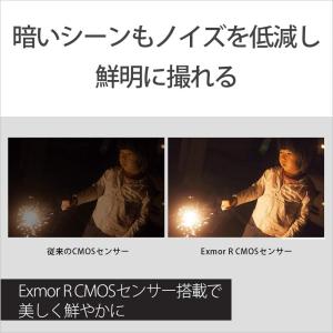 SONY(ソニー) ビデオカメラ Handyc...の詳細画像4
