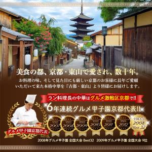 冷凍食品 2026 中華 メガ盛り中華福袋 レ...の詳細画像3
