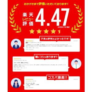 長崎特産 島原手延べそうめん にゅうめん 素麺...の詳細画像2