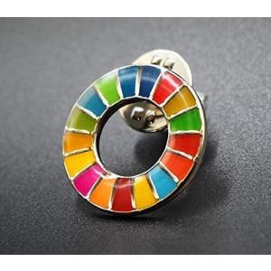 バッチ ピンバッジ 国連ガイドライン対応 UNDP シルバーフレーム