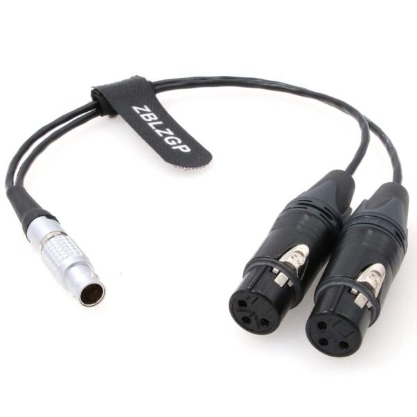 ZBLZGP オーディオブレークアウト入力ケーブル 10ピンからデュアル3ピン XLRメス Atom...