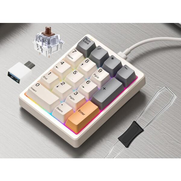 Levieny メカニカルテンキー 17キー プログラマブル&amp;マクロキーボード (有線/USB Ty...