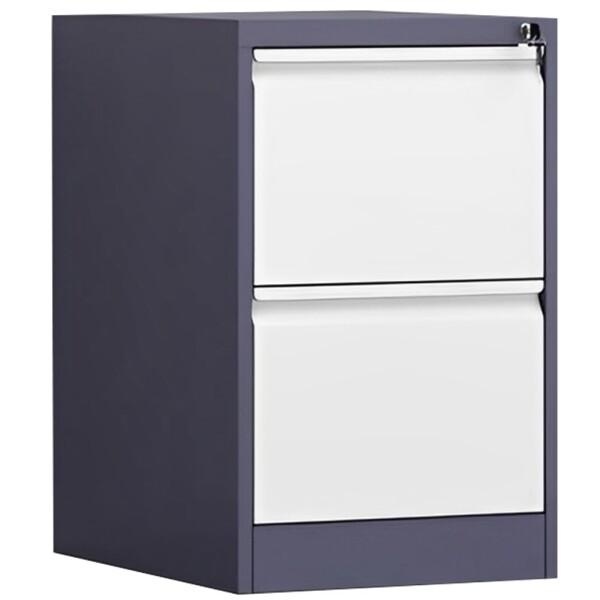 Floralies スチールキャビネット スリム 2段 ファイリングキャビネット A4対応 鍵付き ...