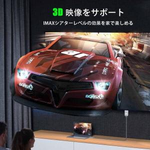 4K DisplayPort (ディスプレイポ...の詳細画像3