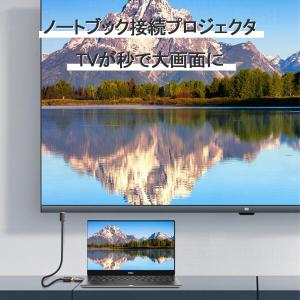 Akkerds DisplayPort to ...の詳細画像1