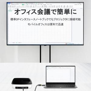 Akkerds DisplayPort to ...の詳細画像2