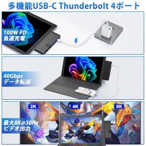 Surface Pro 12 2025 ハブ、...の詳細画像2
