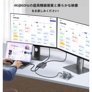 DisplayPort to デュアル HDM...の詳細画像2