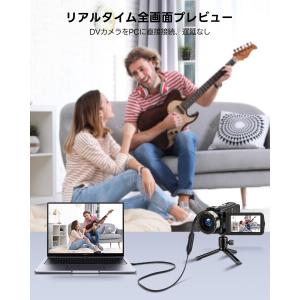 avedio links USB2.0 キャプ...の詳細画像5