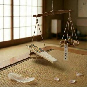 (pronala)投扇興セット 精選品(とうせ...の詳細画像3