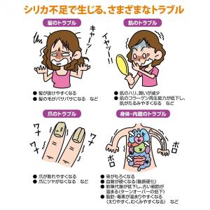 ●お取り寄せ 飲料水 住宅企画 Silica9...の詳細画像2