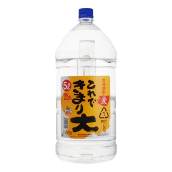 お酒 焼酎 若松酒造 これできまり大 25° 5000ml ケース (4本入り)