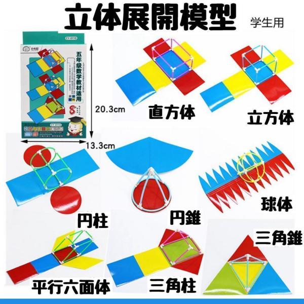 展開図 立体　知育玩具　中学受験　高校受験 入学祝い 組み立て 小学校 中学校