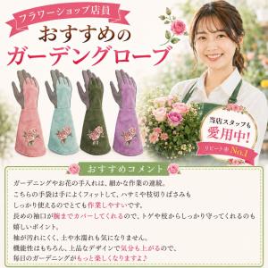 バラ用手袋 ガーデニンググローブ おしゃれ 園...の詳細画像5