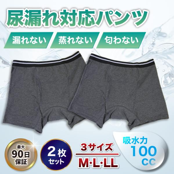 尿漏れパンツ 男性 2枚 男性用  メンズ 介護パンツ 失禁 介護用 夏用 紳士 セット グレー ち...