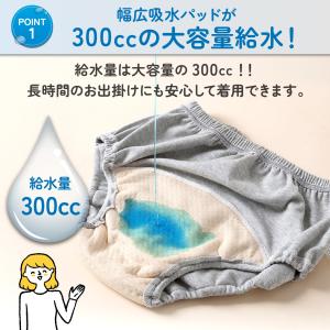 尿漏れパンツ 女性 尿とりパッド レディース ...の詳細画像2