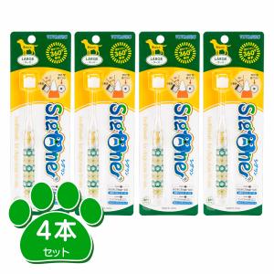シグワン　コンパクト歯ブラシ ラージ 4本セット