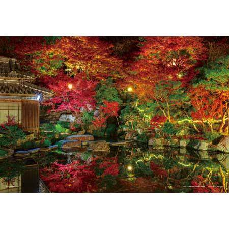 108ピース ジグソーパズル 秋夜の百済寺庭園（滋賀