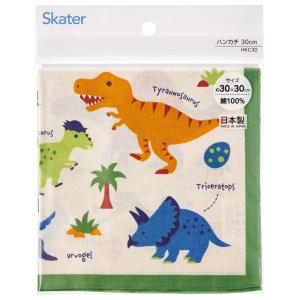 ディノサウルス ハンカチ DINOSAURS ...の詳細画像1