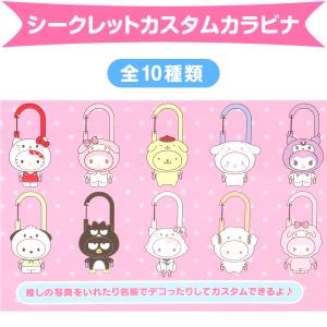 サンリオキャラクターズ シークレットカスタムカラビナ 全10種類