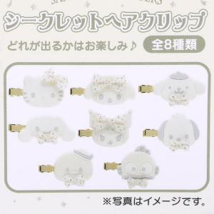 サンリオキャラクターズ サンリオキャラクターズ シークレット