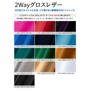 2Wayグロスレザー 全13色 赤 青 ゴール...の詳細画像2