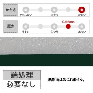 2Wayグロスレザー 全13色 赤 青 ゴール...の詳細画像4