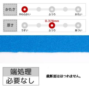 ライクラストレッチ パールタイプ 生地 無地 ...の詳細画像4