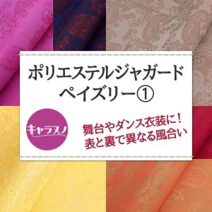 ポリエステルジャガード ペイズリー 全36色 ...の詳細画像1