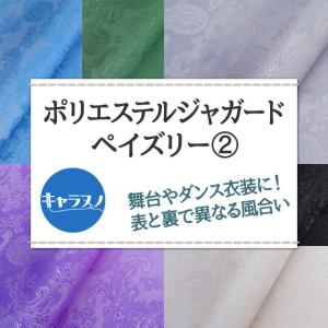 ポリエステルジャガード ペイズリー 全36色 ...の詳細画像1