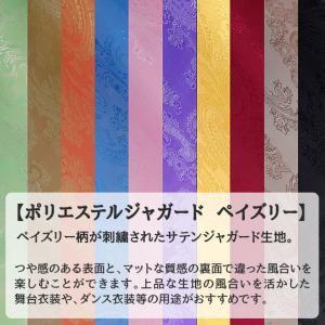 ポリエステルジャガード ペイズリー 全36色 ...の詳細画像3
